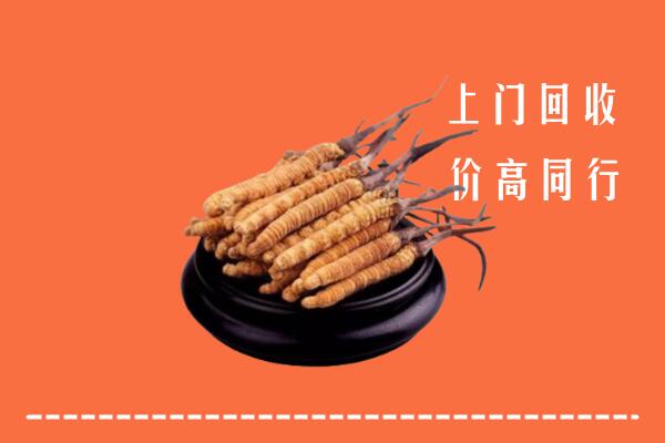 高价求购：汕头回收散虫草