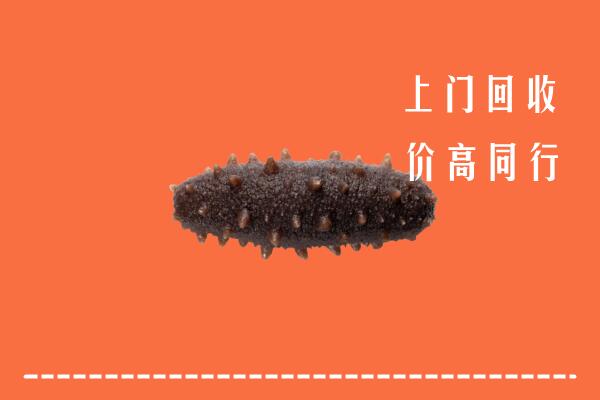 高价求购：汕头回收海参